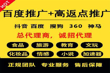竞价端口开户全攻略，案例分析
